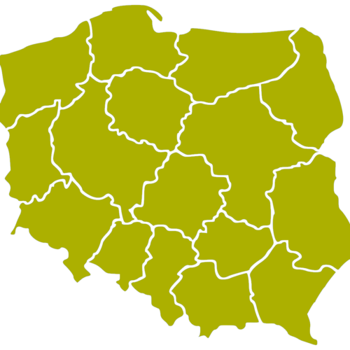 rekuperacja polska